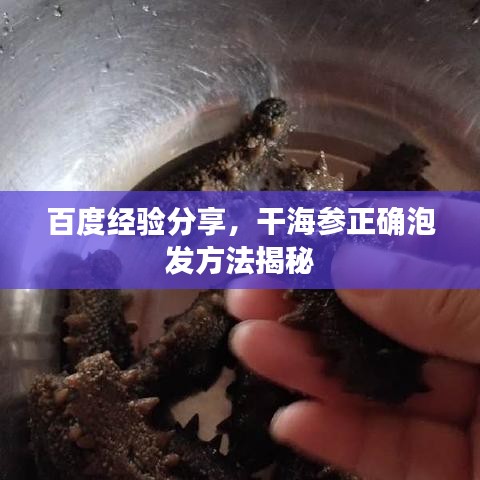 百度经验分享，干海参正确泡发方法揭秘