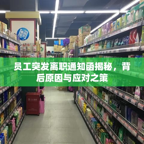 员工突发离职通知函揭秘，背后原因与应对之策