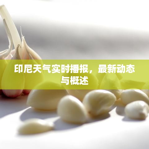 印尼天气实时播报，最新动态与概述