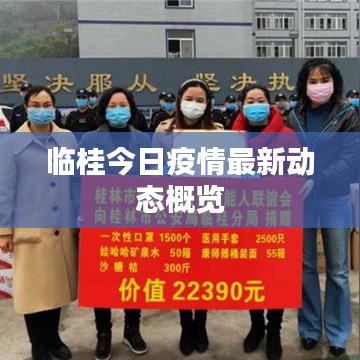 临桂今日疫情最新动态概览