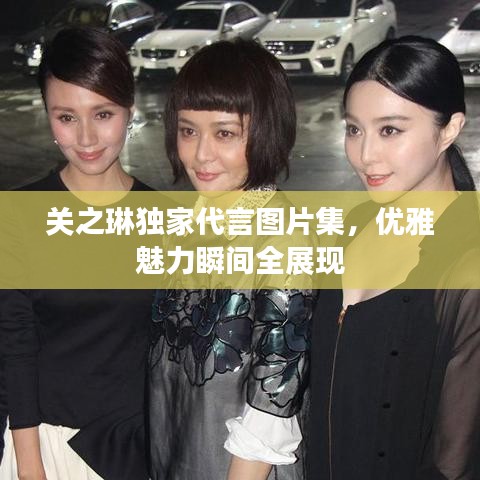 关之琳独家代言图片集，优雅魅力瞬间全展现