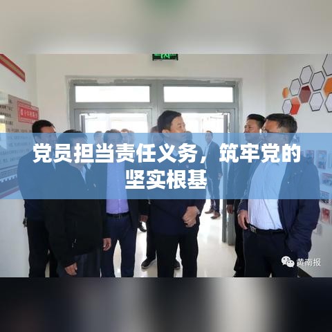 党员担当责任义务，筑牢党的坚实根基
