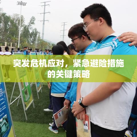 突发危机应对，紧急避险措施的关键策略