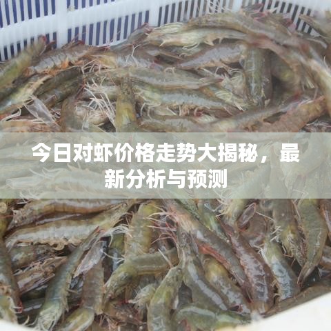 今日对虾价格走势大揭秘，最新分析与预测