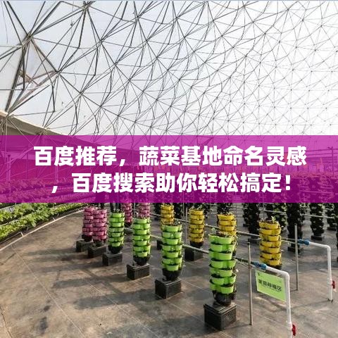 百度推荐，蔬菜基地命名灵感，百度搜索助你轻松搞定！