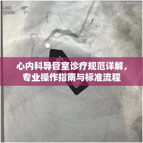 心内科导管室诊疗规范详解，专业操作指南与标准流程