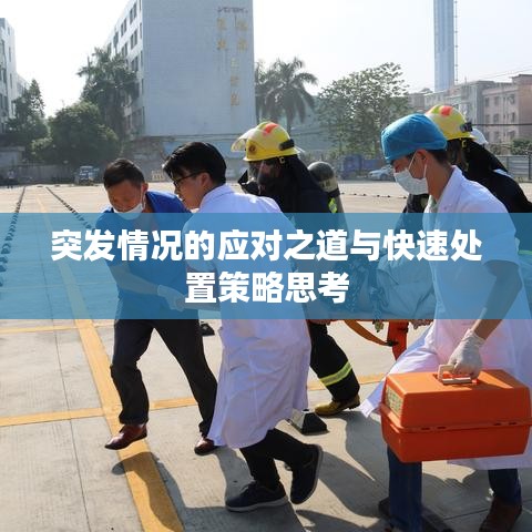 突发情况的应对之道与快速处置策略思考