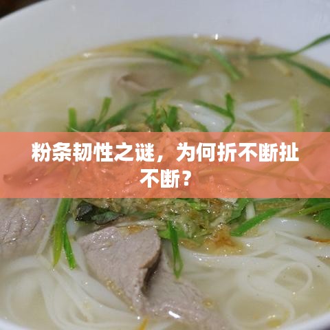 粉条韧性之谜，为何折不断扯不断？