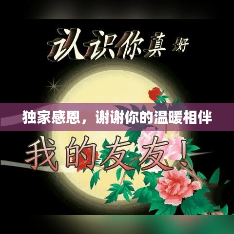 独家感恩，谢谢你的温暖相伴