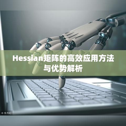 Hessian矩阵的高效应用方法与优势解析