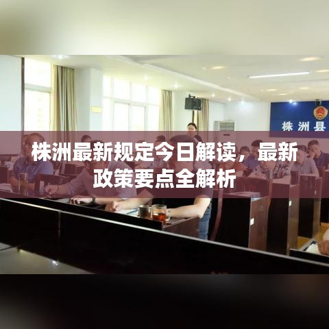 株洲最新规定今日解读，最新政策要点全解析