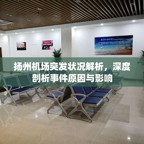 扬州机场突发状况解析，深度剖析事件原因与影响