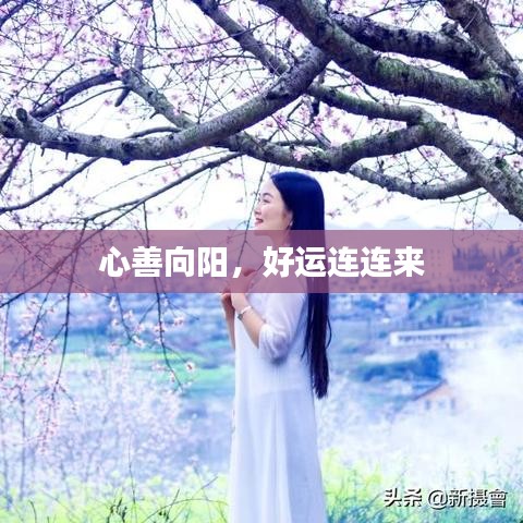 心善向阳，好运连连来