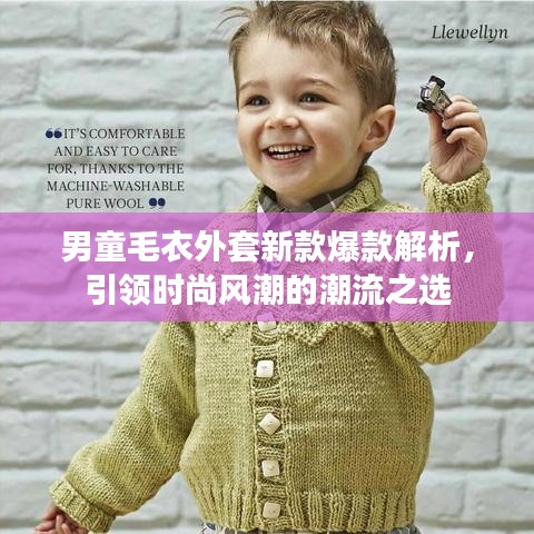 男童毛衣外套新款爆款解析，引领时尚风潮的潮流之选