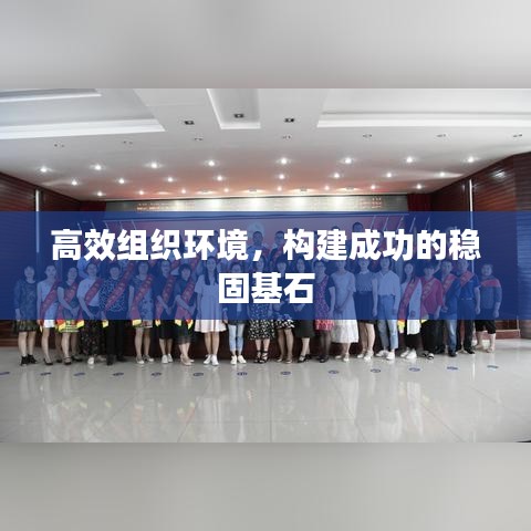 高效组织环境，构建成功的稳固基石