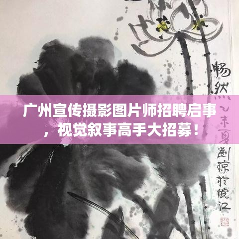 广州宣传摄影图片师招聘启事，视觉叙事高手大招募！