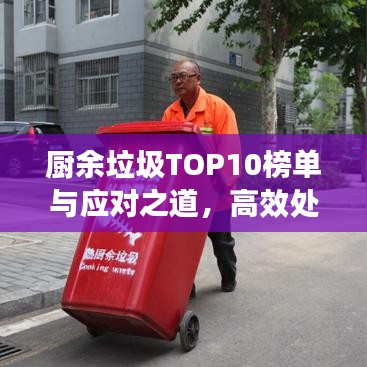 厨余垃圾TOP10榜单与应对之道，高效处理策略揭秘