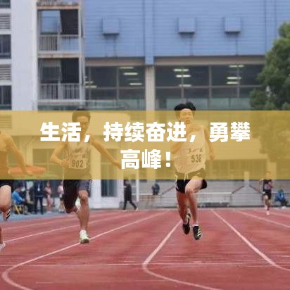 生活，持续奋进，勇攀高峰！