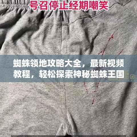 蜘蛛领地攻略大全，最新视频教程，轻松探索神秘蜘蛛王国！