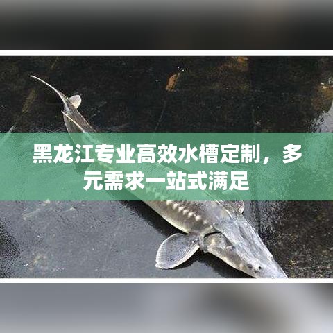 贵农贱商