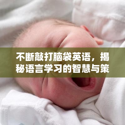 不断敲打脑袋英语，揭秘语言学习的智慧与策略