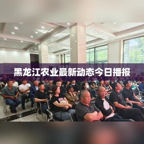 黑龙江农业最新动态今日播报