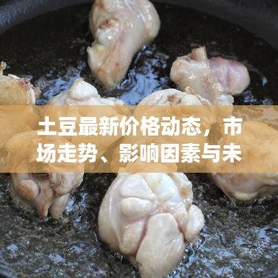 土豆最新价格动态，市场走势、影响因素与未来预测分析