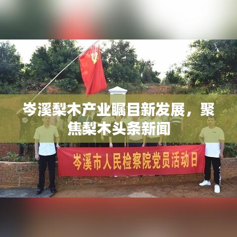 岑溪梨木产业瞩目新发展，聚焦梨木头条新闻