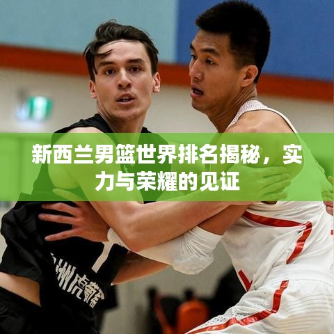 新西兰男篮世界排名揭秘，实力与荣耀的见证