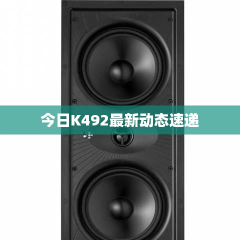 今日K492最新动态速递