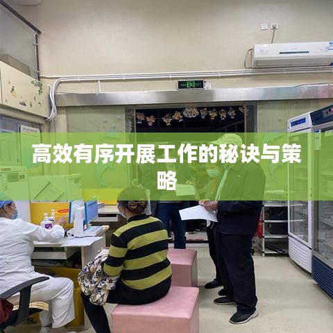 高效有序开展工作的秘诀与策略