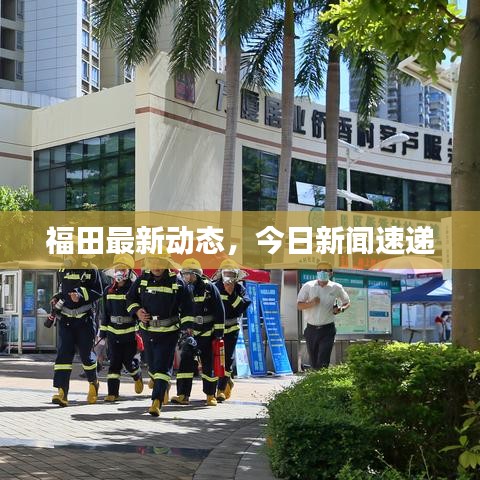 福田最新动态，今日新闻速递