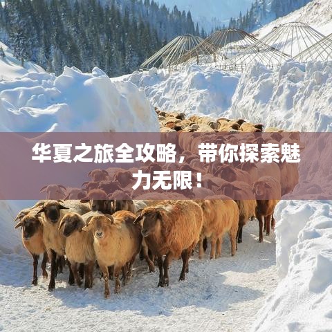 华夏之旅全攻略，带你探索魅力无限！