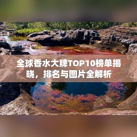 全球香水大牌TOP10榜单揭晓，排名与图片全解析