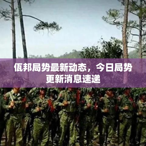 成功案例 第4页