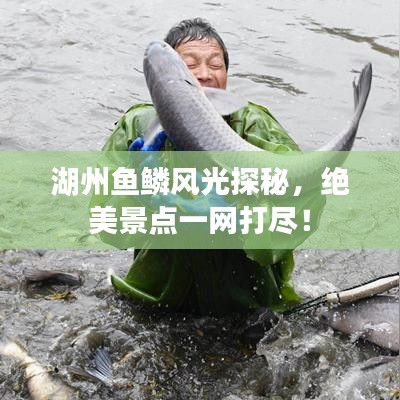 湖州鱼鳞风光探秘，绝美景点一网打尽！