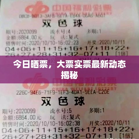 不求甚解