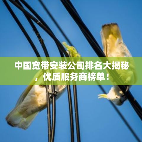 中国宽带安装公司排名大揭秘，优质服务商榜单！