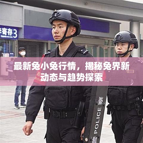 最新兔小兔行情，揭秘兔界新动态与趋势探索