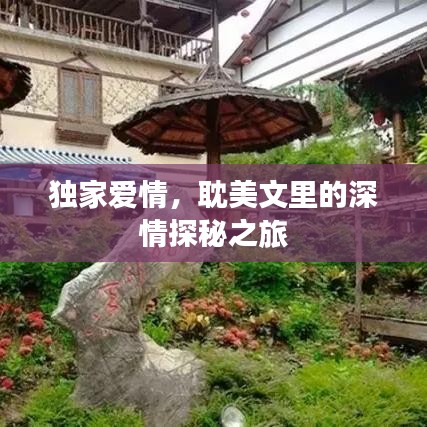 独家爱情，耽美文里的深情探秘之旅