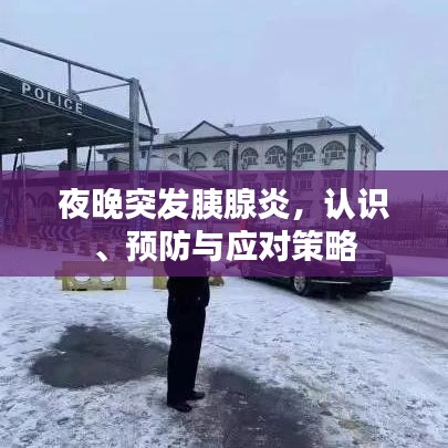 夜晚突发胰腺炎，认识、预防与应对策略