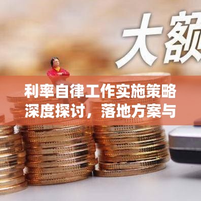 利率自律工作实施策略深度探讨，落地方案与效果展望