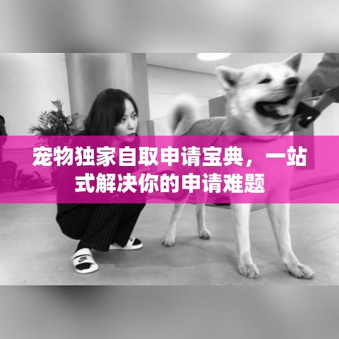 宠物独家自取申请宝典，一站式解决你的申请难题