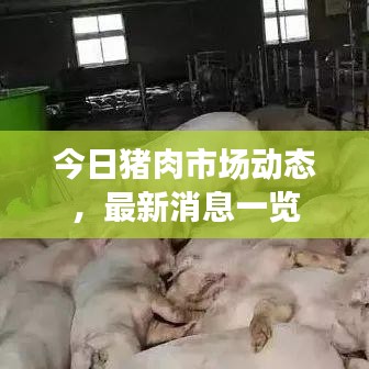 今日猪肉市场动态，最新消息一览