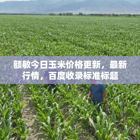 额敏今日玉米价格更新，最新行情，百度收录标准标题