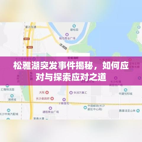 松雅湖突发事件揭秘，如何应对与探索应对之道