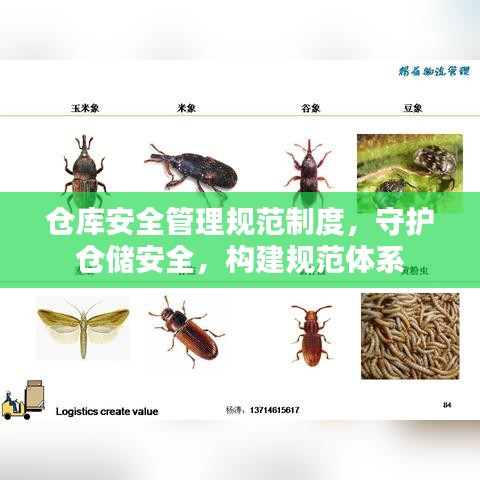 仓库安全管理规范制度，守护仓储安全，构建规范体系