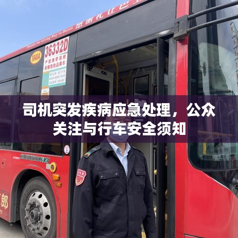 司机突发疾病应急处理，公众关注与行车安全须知