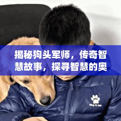 揭秘狗头军师，传奇智慧故事，探寻智慧的奥秘