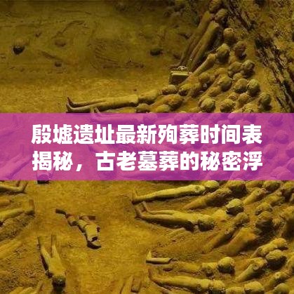殷墟遗址最新殉葬时间表揭秘，古老墓葬的秘密浮出水面